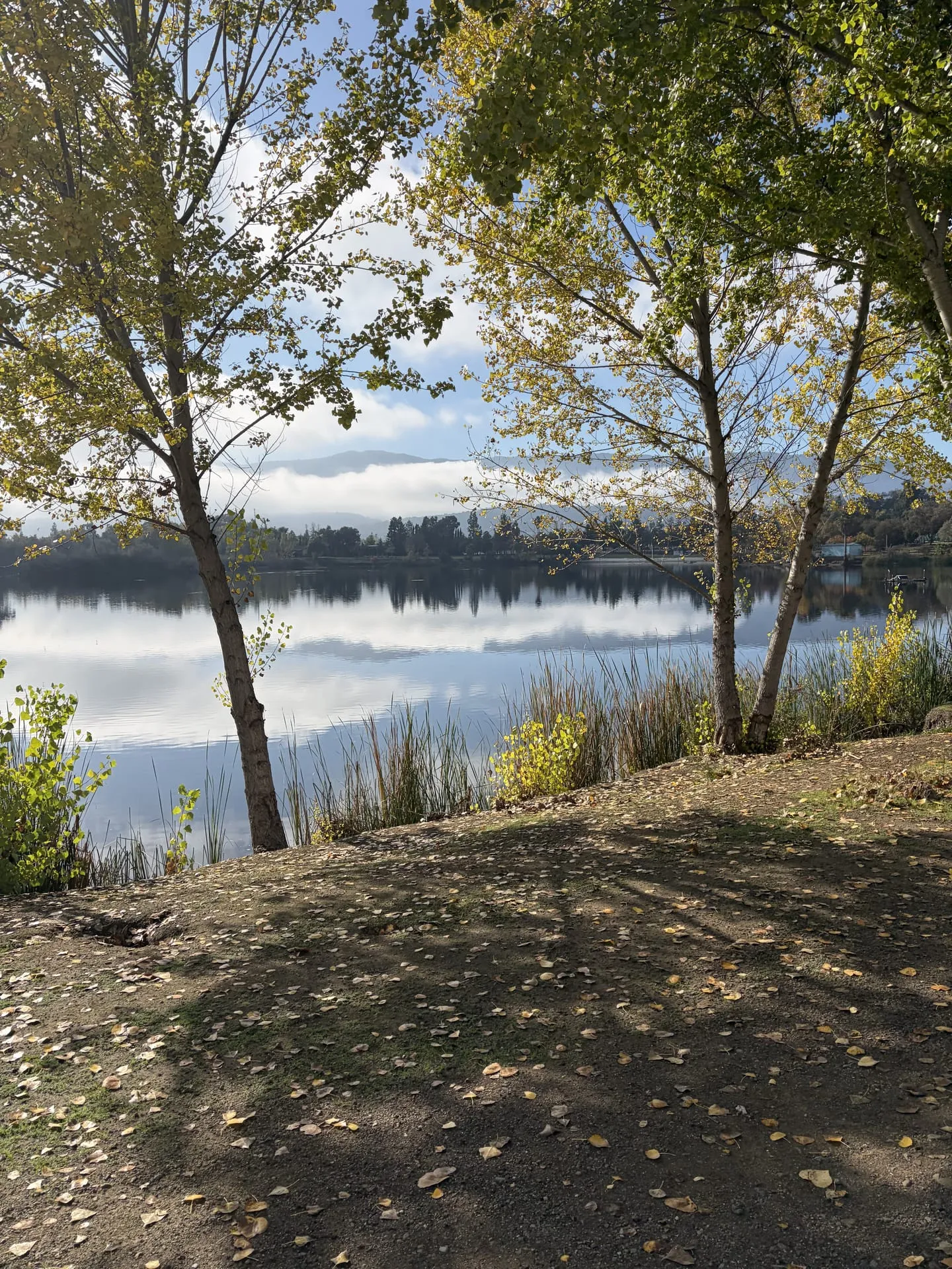 Porcelain December Vibes Porcelain December